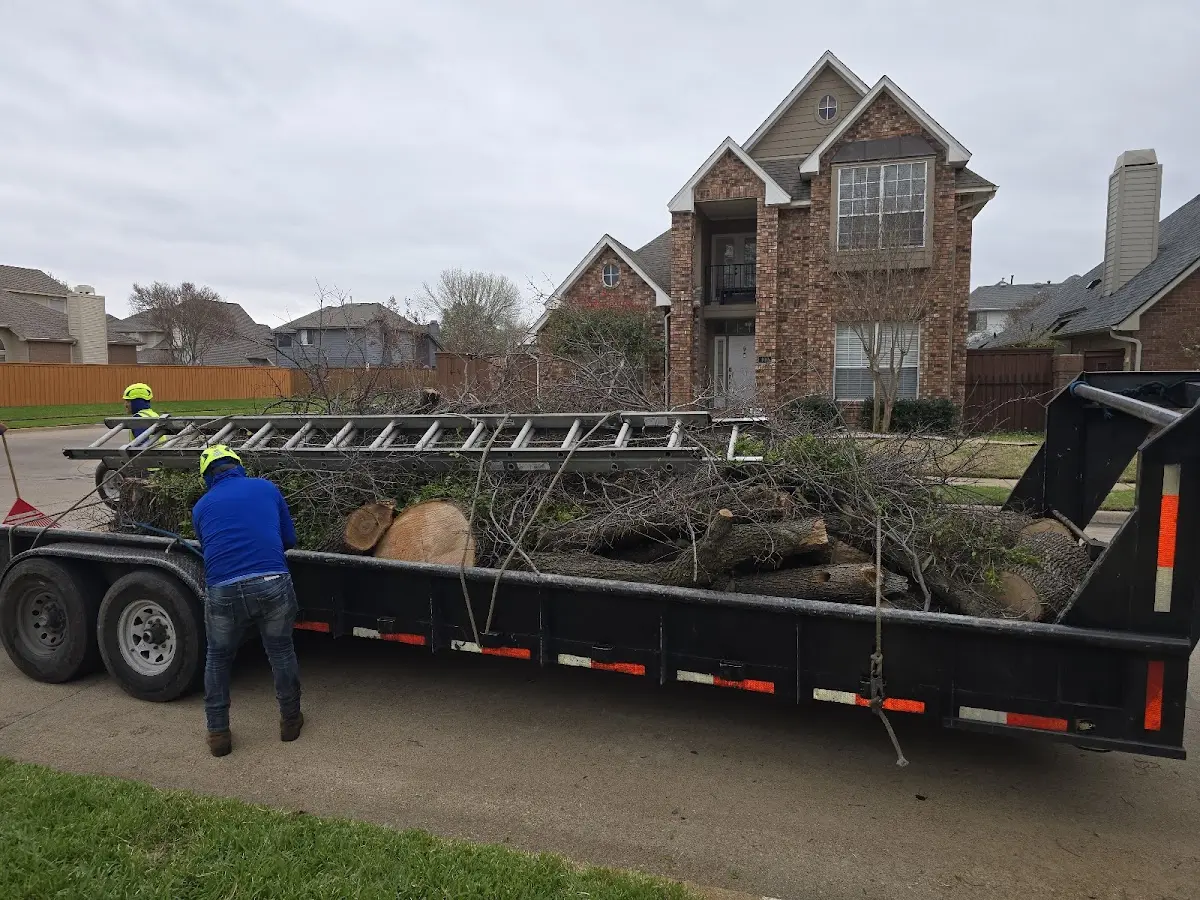 Expert Lot Clearing with proper safety equipment in Livingston